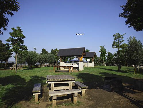 🌳 오이즈미 중앙공원 (오이즈미추오코엔) 이미지 5